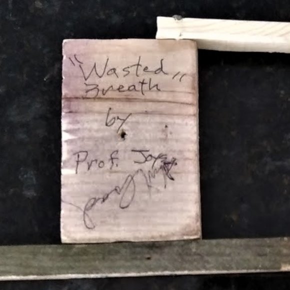 Outsider Art to benefit the homeless - Picture 8 of 12